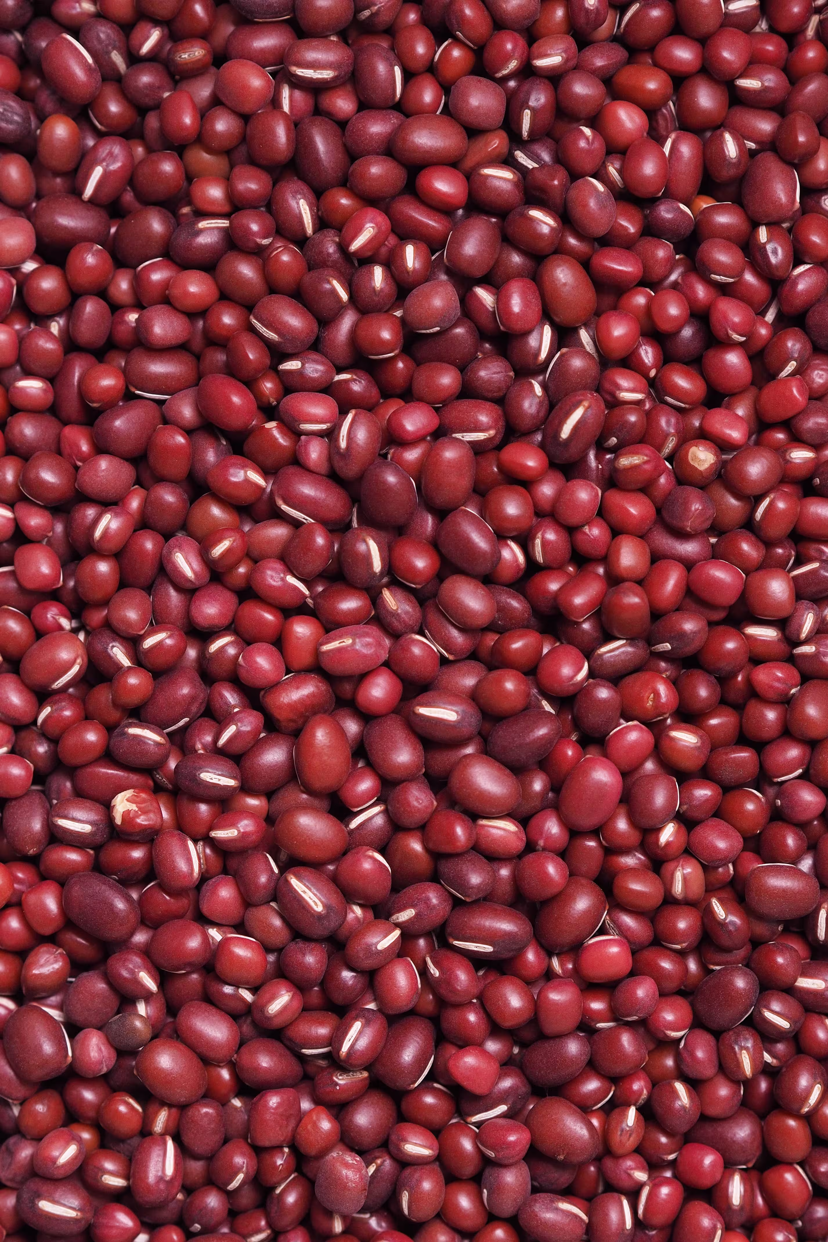 Beans