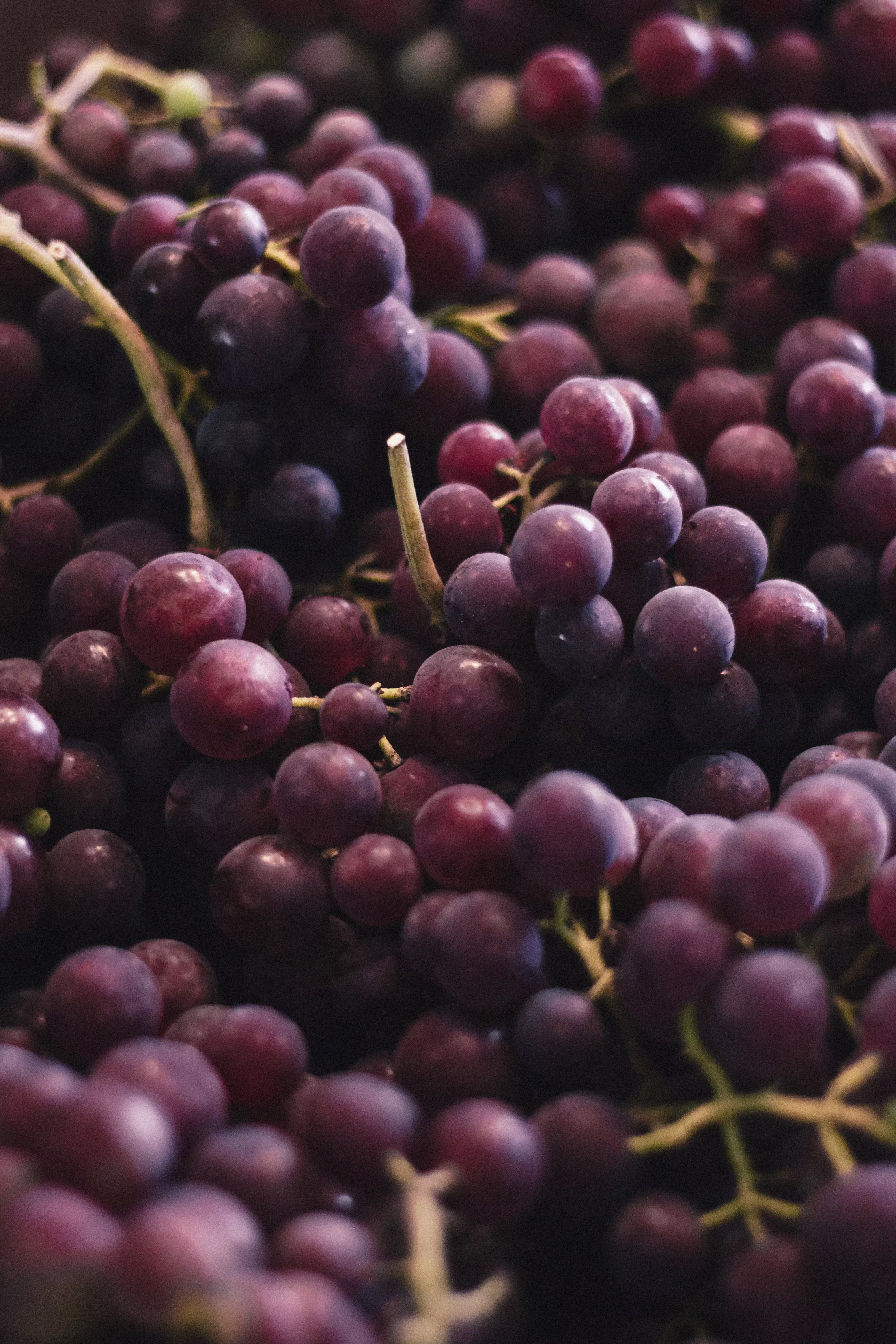 Grapes